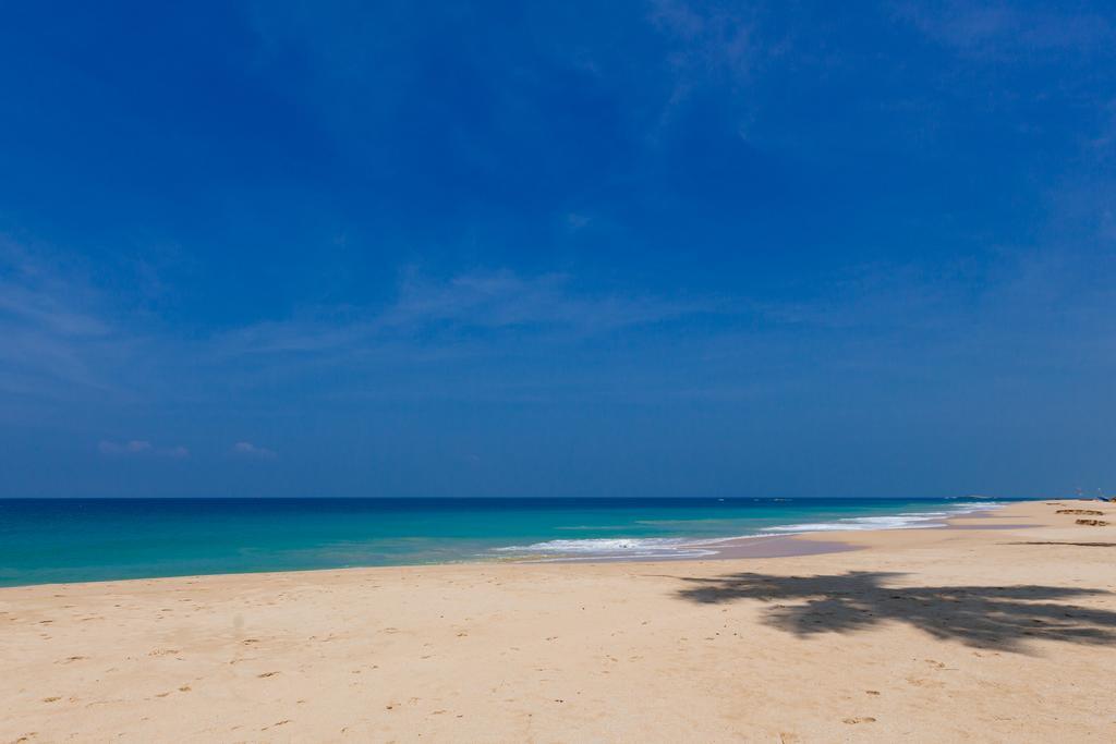 Blue Parrot Beach Villa Ambalangoda  Eksteriør billede