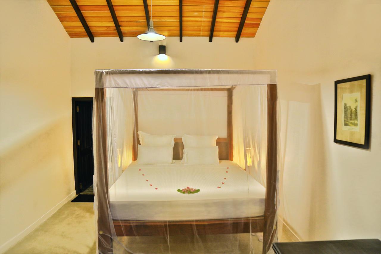 Blue Parrot Beach Villa Ambalangoda  Eksteriør billede